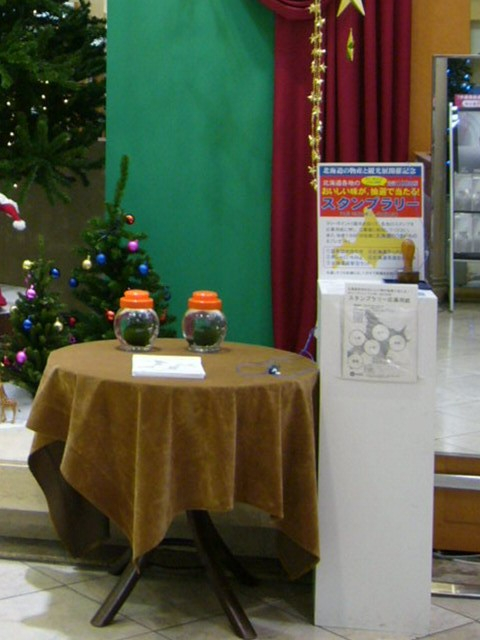 Photo_3