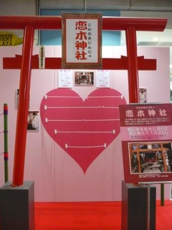 Photo_3