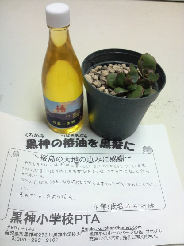 2008121311160000_2