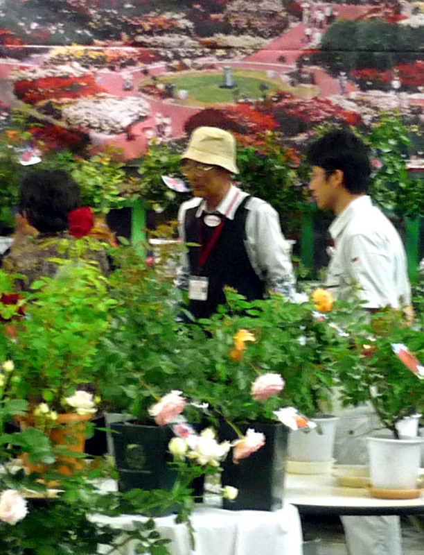 Rose_6