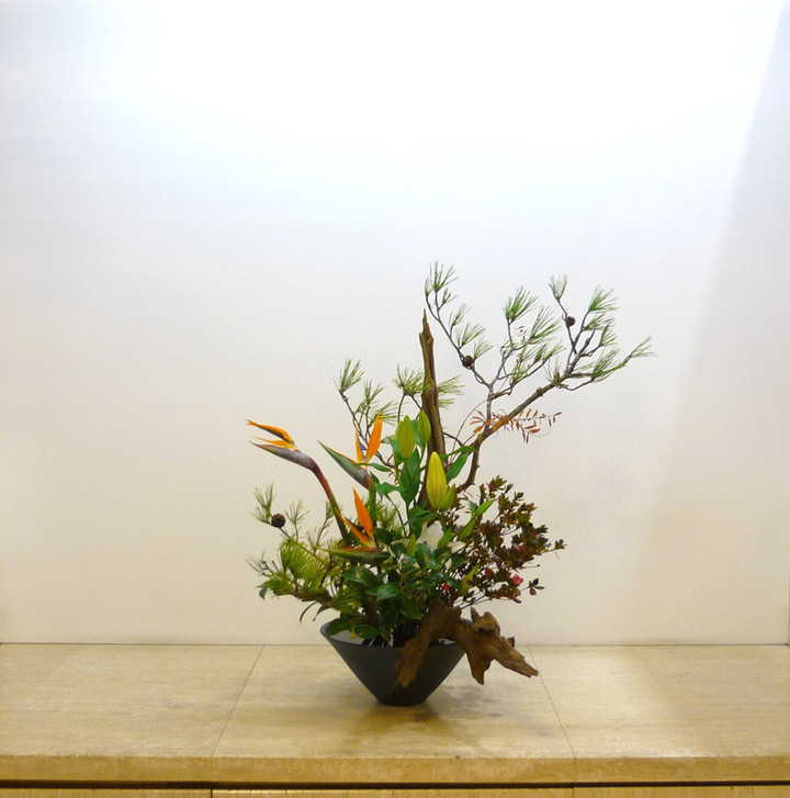 20130204